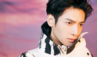 罗云熙个人资料简介 罗云熙个人资料介绍