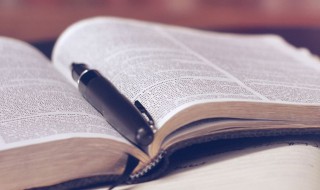 稚气的意思是什么 稚气的解释