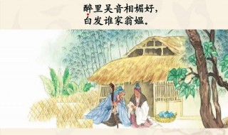 醉里吴音相媚好白发谁家翁媪的意思是什么 醉里吴音相媚好白发谁家翁媪的含义