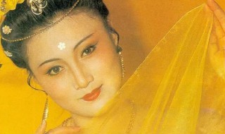 林芳兵个人资料 林芳兵用什么资料呢