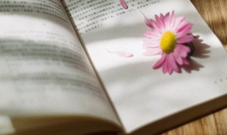 忘川河的意思是什么 忘川河是什么意思