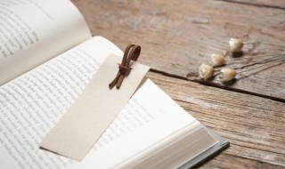 骶怎么读 骶的读音