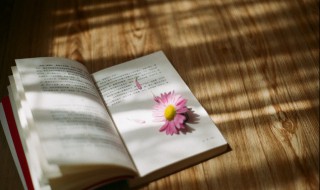 长安故里什么意思 长安故里的含义