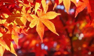 2021年秋天什么时候开始冷 2021年秋天正式冷的时间