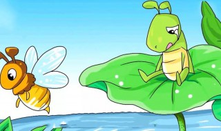 蝈蝈为什么叫 蝈蝈叫的原因