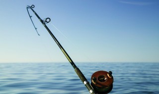 鱼吃饵不上钩是什么原因 鱼吃饵不上钩的原因是什么