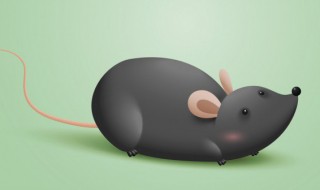 刺猬吃老鼠吗 刺猬吃不吃老鼠