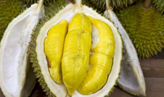 榴莲肉有丝是怎么回事 榴莲肉有丝是咋回事