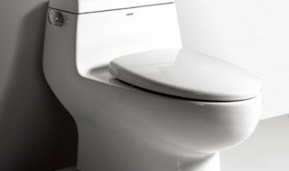 坐便器飞小虫子怎么处理 坐便器飞小虫子如何处理