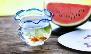 养鱼的水是什么颜色好 养鱼的水颜色介绍