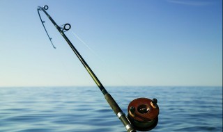 夏天野钓选择什么位置最好 夏天野钓选择什么位置更好