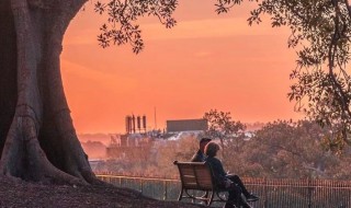 朋友圈获赞最多的浪漫情话 浪漫情话朋友圈句子