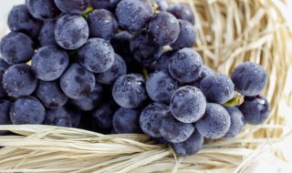 吃葡萄衣服弄脏了怎么洗 吃葡萄衣服弄脏的清洗方法