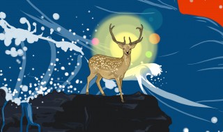 小鹿的寓意是什么意思 小鹿的寓意