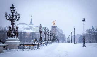 下雪的好处 不仅是好看