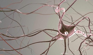 怎么让头脑放松 劳逸结合才是正理