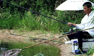 钓鱼技巧调漂方法 你会吗