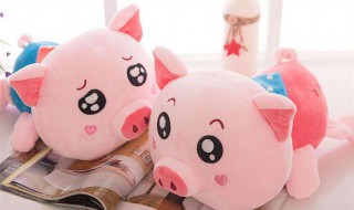 猪怎么写 猪字的笔画顺序