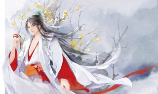 白小纯是哪部小说 此部小说的简介信息