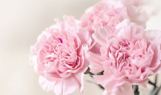 2018年母亲节是几月几号 应该送什么礼物呢