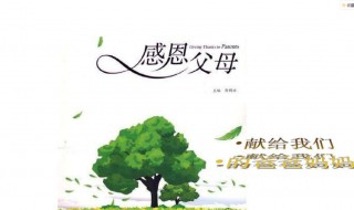 感恩的精典语句 这几句分享给大家