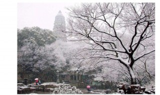 仲冬是几月 仲冬的月份和文例