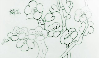 梅花怎么画简单又好看 手把手一步步画出漂亮梅花