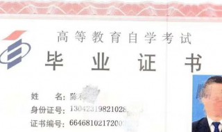 自考本科文凭有用吗 过来人介绍自考本科文凭有什么作用