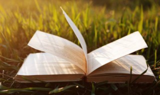 说说文案阳光可爱 可爱的朋友圈文案