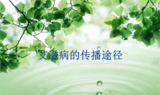 艾滋病的传播途径是什么 艾滋病的传播途径有哪几种？