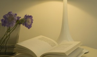 人生遇一知己的感悟 人生遇一知己足矣的心情感悟