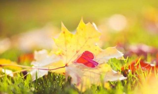 最暖心的早安问候 暖心的早安问候语句子