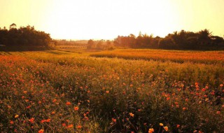 累快乐的说说心情短语 形容累并快乐着的心情短语说说
