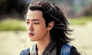 狼殿下肖战是什么世子 狼殿下肖战的简介