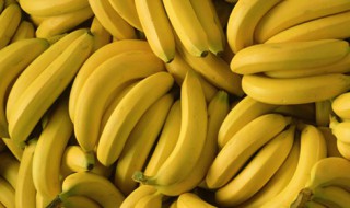 成熟的香蕉为什么大都是弯的 科普为什么成熟的香蕉都是弯的