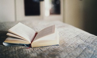 人品素质经典语录 关于人品素质经典语录推荐