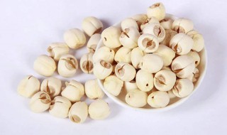 白莲子的功效与作用及食用方法 白莲子可以怎么吃