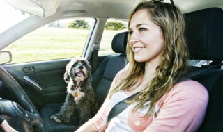 第一次开车上路的感悟 开车的感悟介绍