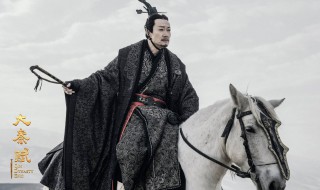 大秦赋楚王扮演者 该剧可以在哪个平台上看
