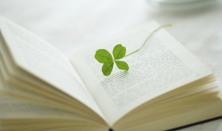 身体发夫受之父母下句是什么 身体发夫受之父母的出处