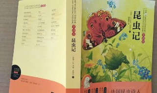 象态橡栗象内容概括 象态橡栗象概括主要内容