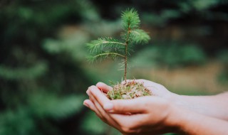 生态文明的内涵是什么 生态文明的内涵