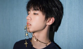 921是什么意思啊 921的释义