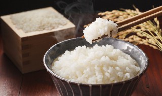 米饭怎么清洗才干净 米饭如何清洗