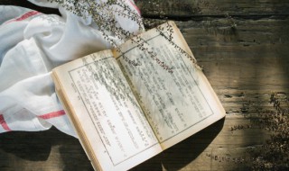 是知也的是是什么意思 是知也的意思是什么