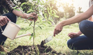 珍惜自然资源的下一句是什么 珍惜自然资源的下一句怎么说