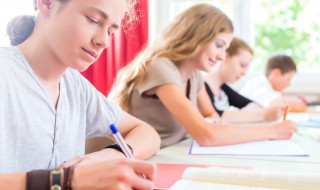 运动会感言作文 关于运动会感言的作文怎么写