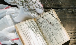 岱宗夫如何齐鲁青未了的齐鲁指什么 岱宗夫如何齐鲁青未了解释