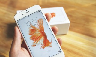 手机售后服务三包是什么 手机售后服务三包介绍