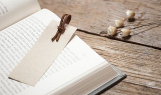 寻复南奔的寻的意思 寻复南奔的寻的解释